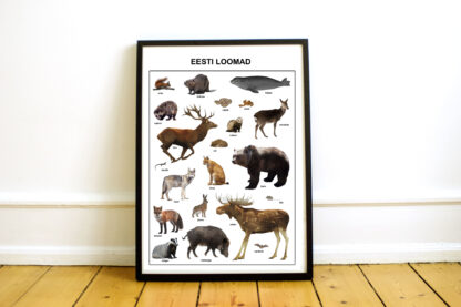 Poster eesti loomad