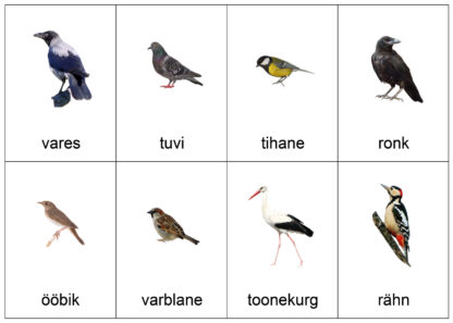 eesti linnud loomad